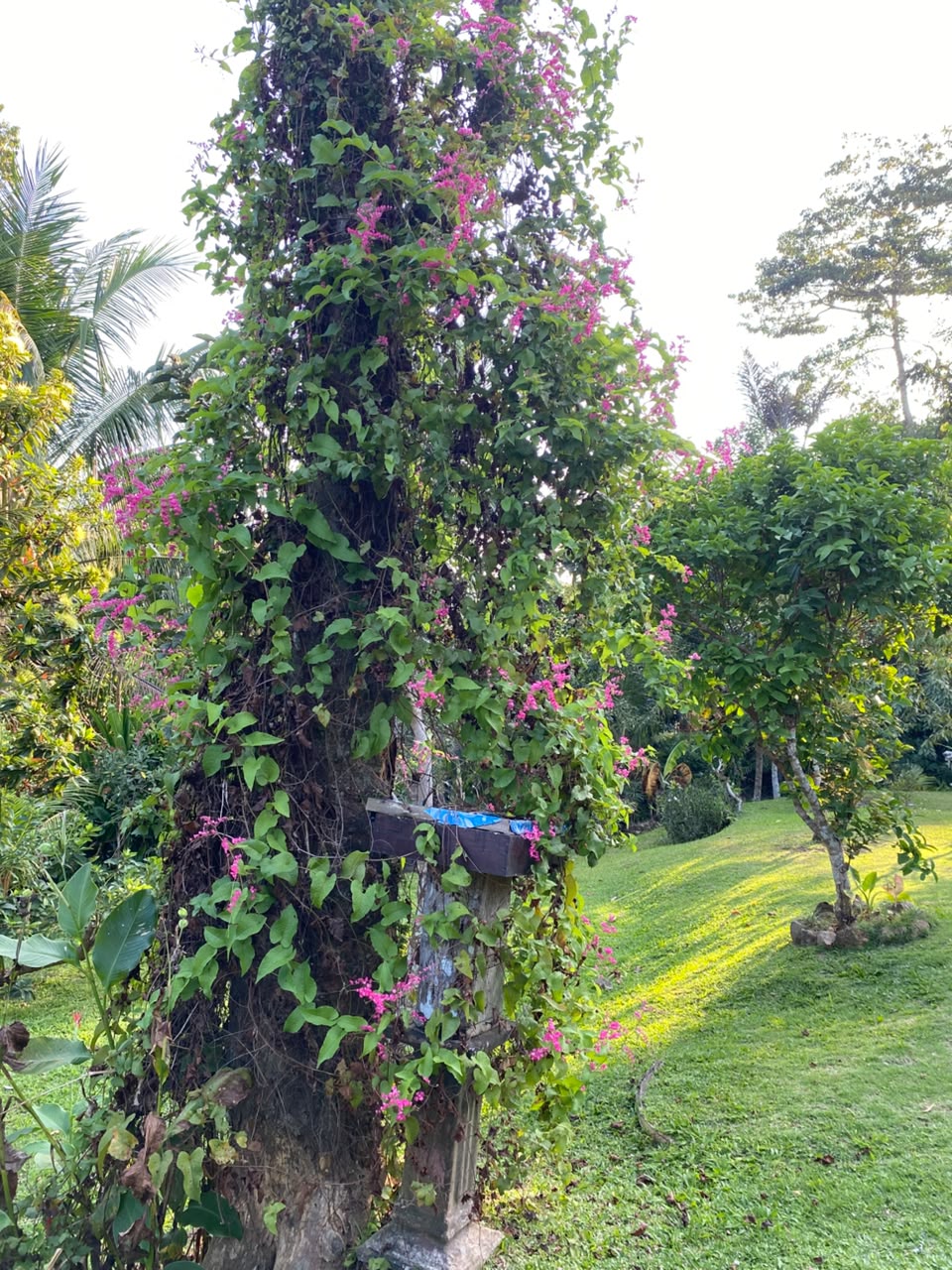 Galeri Lokasi Budidaya